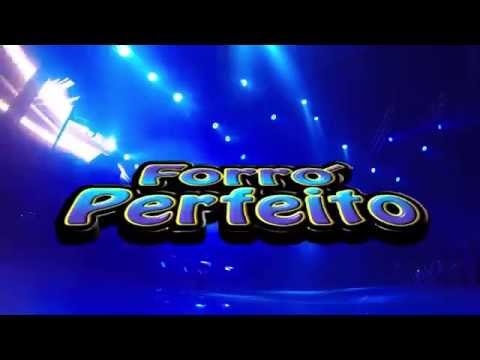 DVD Forró Perfeito 12 anos