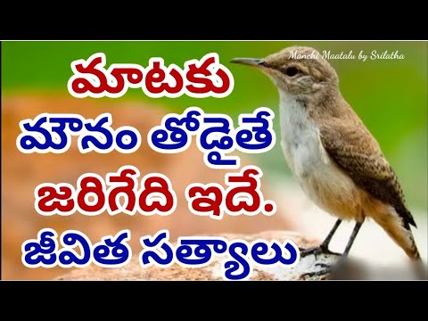 Life quotations||famous quotations|jeevitha satyalu|motivational quotes|Manchi Maatalu by Srilatha||