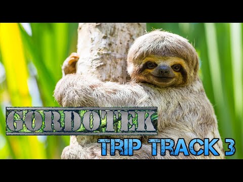 GordoTEK Trip Track 3