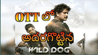 OTT లో అదరగొట్టిన wild dog telugu movie