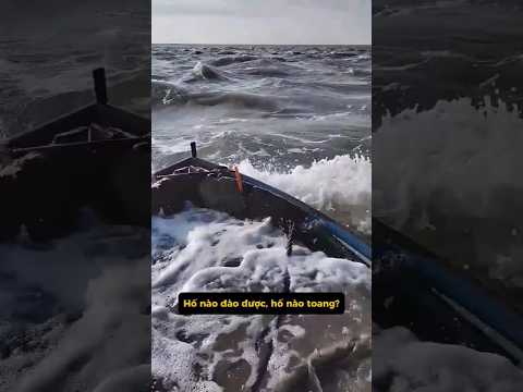 Những cái hố đủ kiểu này không phải cái nào cũng đào bừa được đâu nhé?  #kytrigioi #shorts