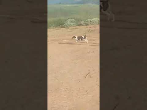 # Curtem nossas belezas e riquezas  do leste de.Minas @Antonio Carlos-gr2pe