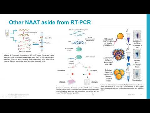 Evolution of CoVID19 Diagnostics FMHeraldeJul3POGS