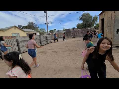 Día de la coneja 4/6/2021