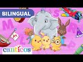 My First Consonants Part 1 B M R S Phonics Phonemes Preschool Canticosworld