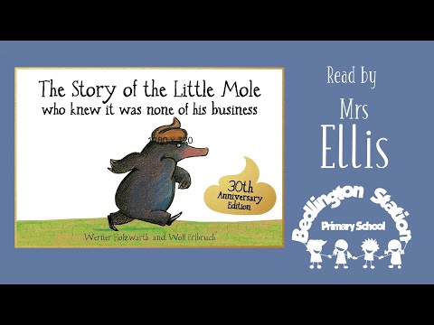 BSPS Story Time with Mrs Ellis - The Story Of The Little Mole