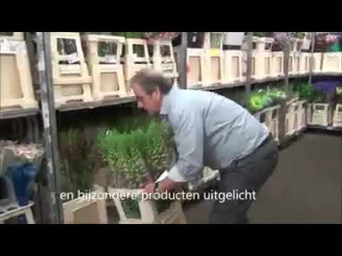 Bijzondere bloemen uitgelicht door Bab