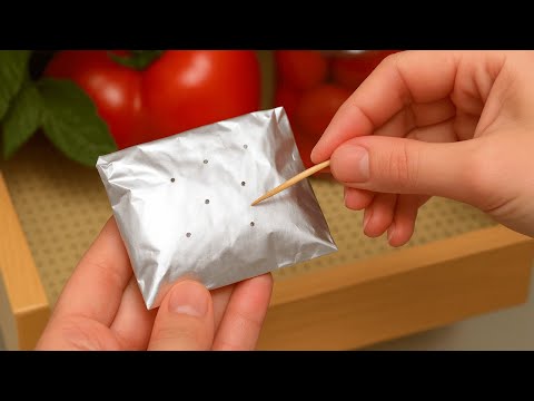 Do this in the kitchen. Ants, moths, and cockroaches will disappear overnight.