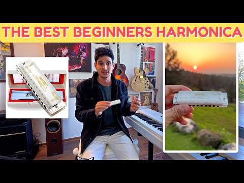 The Best Harmonica for Beginners | $20-$50 Budget