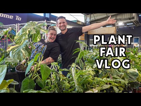 A DAY AT THE COLLECTORS’ PLANT FAIR - shopping, friends, plants, dogs & lots of laughs #vlog