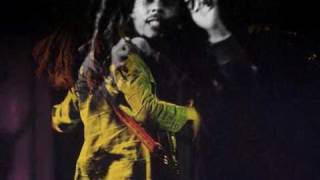 Bob Marley - Punky Reggae Party, Live in Shelton '78