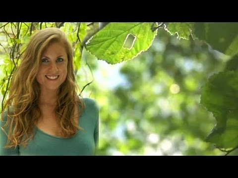 Breathe into Stillness | 20 Minute Meditation