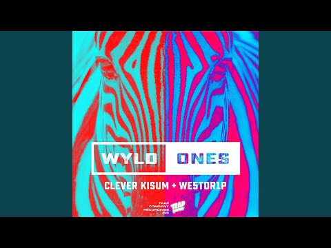 Wyld Ones (feat. We5tDr1p)