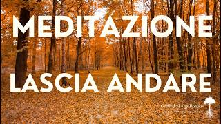 MEDITATION and SELF-HYPNOSIS - LET GO of PAIN, GRIEF, LOSS