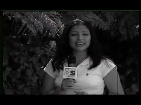 De mediados del siglo XIX a principios del XX.