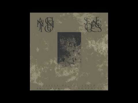 Anji Cheung & Sequences - Vessel of the Earth (Extract)