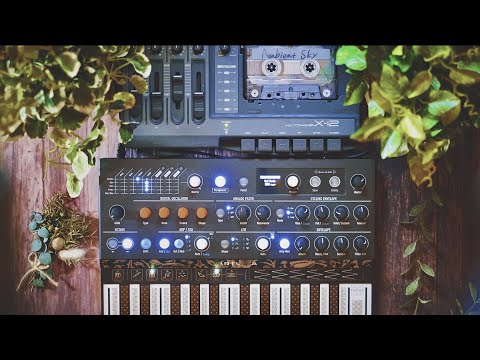 Ambient Sky. Day 208｜Arturia MicroFreak｜Fostex X-12｜soundscape｜experimental｜ambient music