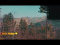 Diyar E Dil OST Status Zeb Bangash Momin Durrani