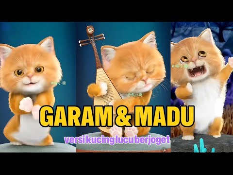 Garam dan madu kucing joget lucu gemes banget