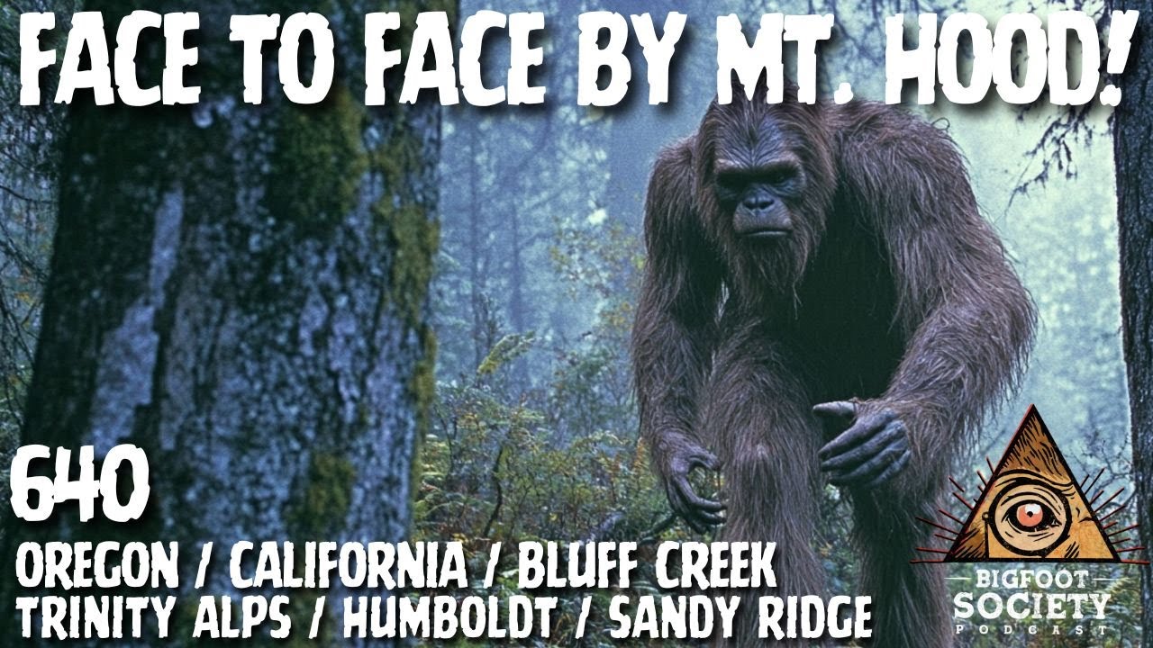 Face to Face by Mt. Hood! | Oregon