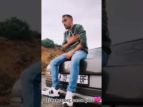 Msusi - Trendafili bardh