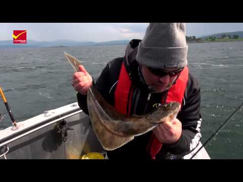 Arctic Seasport Saltstraumen - Revier der Superlative