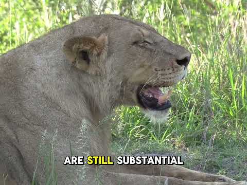 BIO 105  CH5 - Introduction to Ecology Lecture