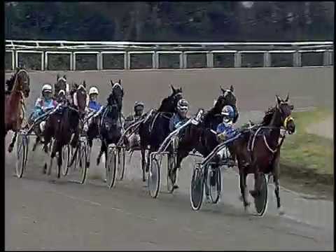 Trotto 20/12/2016 - 2ª corsa