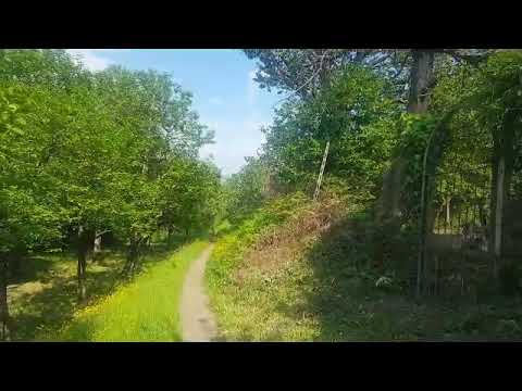 CANZONE PER UN SOGNATORE (Terra Nostra)