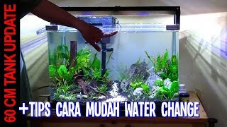 Update 60cm Low Maintenance Tank Usia 3 & 4 Minggu (CARA WC TANK BESAR)