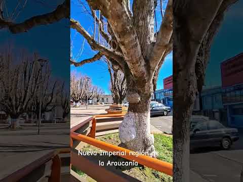 Nueva Imperial, Región de la Araucania
