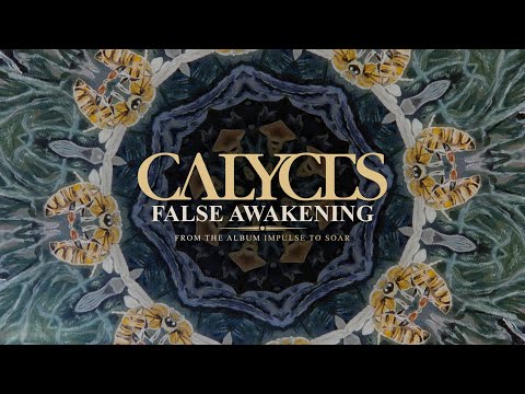 Video thumbnail for False Awakening