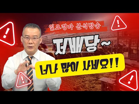 6월 29일(日)-강백호- 일요경마 저배당 너나 사세요.