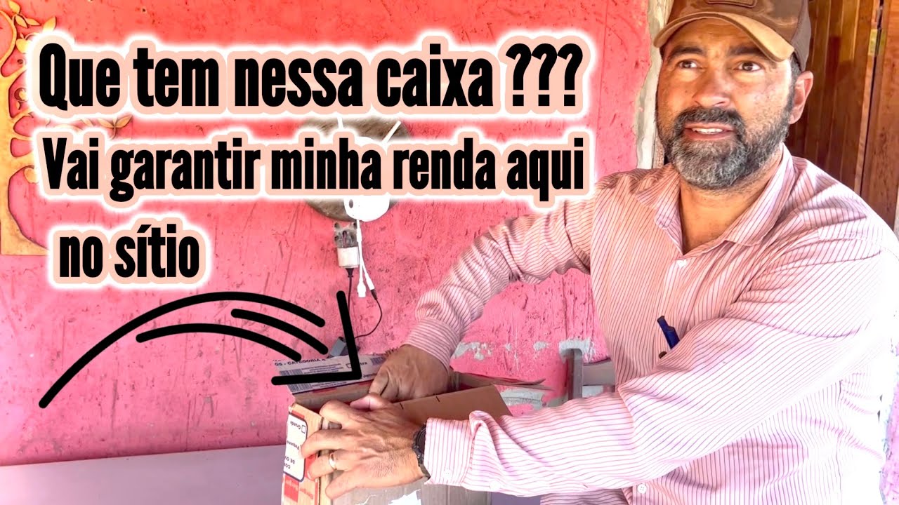 O QUE TEM DENTRO DESSA CAIXA VAI SALVAR MINHA PRODUÇÃO AQUI NO SÍTIO | VOU PRODUZIR MAIS