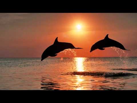 Klaus Schulze - Die Lebendige Spur (Concert 1975)