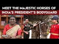 President Bodyguard Regiment Meet The Majestic Horses Of India S President S Bodyguard