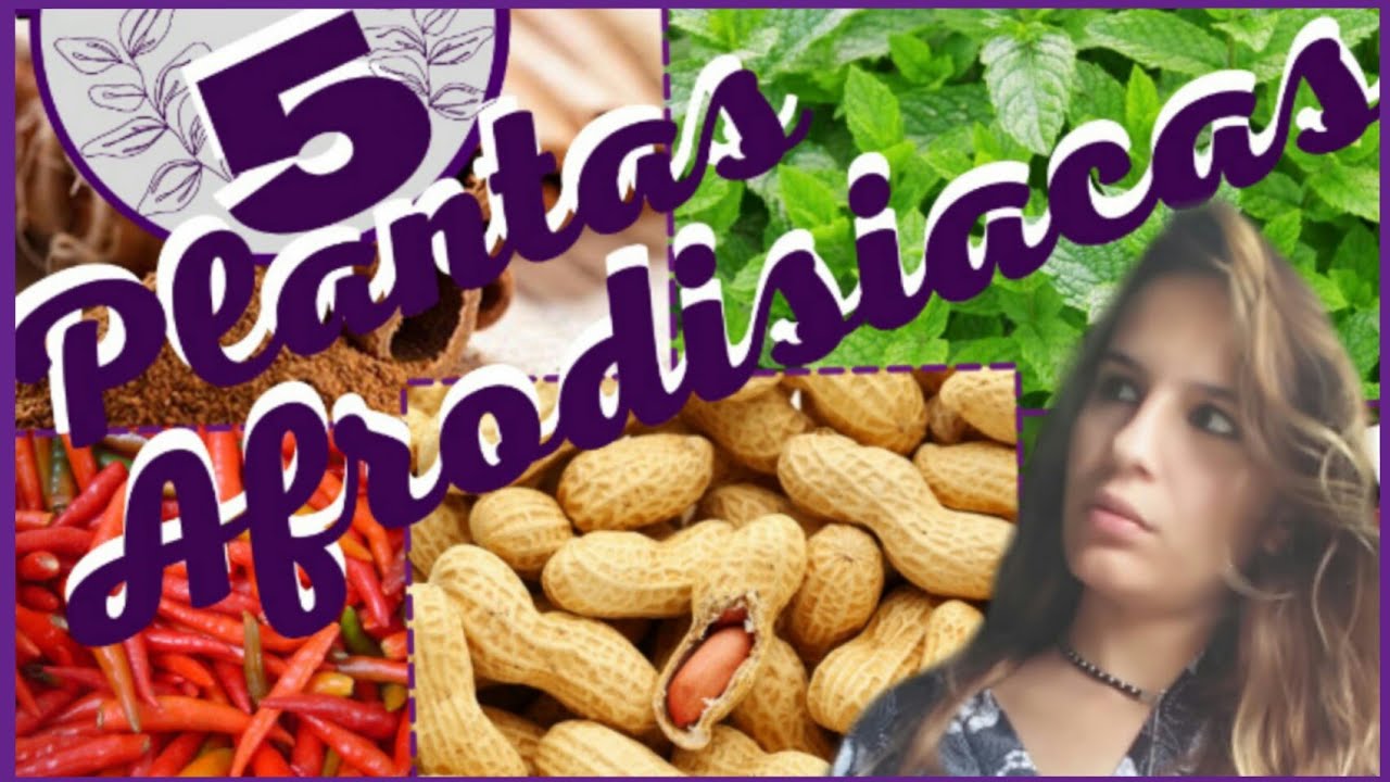 5 plantas afrodisíacas