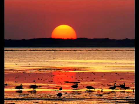 Yvan Prokopov - Moment