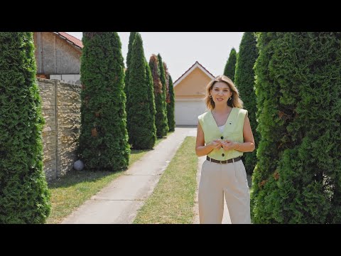 Gospodăria lui Timpuleț, casă cu 5 camere și teren, în Alparea, Bihor.