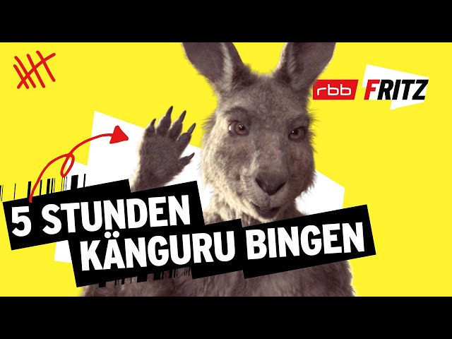 Vídeo relacionado con Die Kanguru Chroniken: Ansichten eines vorlauten Beuteltiers: 1 (Die Känguru-Werke, 1)