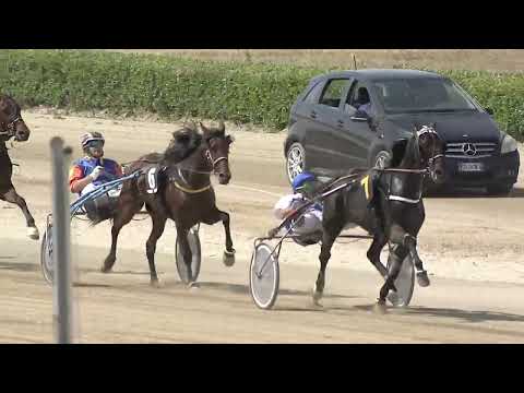 Ippodromo dei Sauri - 1' corsa del 16.5.2024 Giornata GD