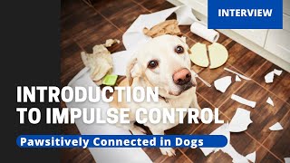 Introduction to Impulse Control