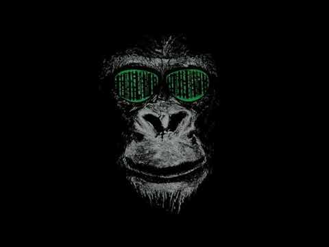 NervTon @ ChaosTechno # 2