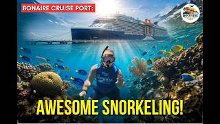 Bonaire Cruise Port Guide: Klein Bonaire, Snorkeling & What to Do on Your Port Day
