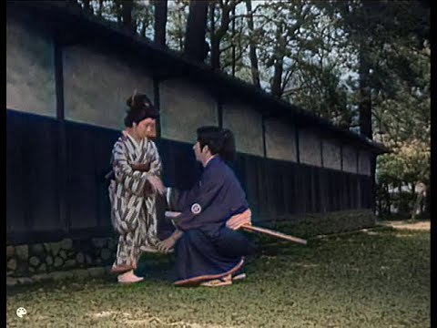 The Samurai In Colour The Wolf Ninja