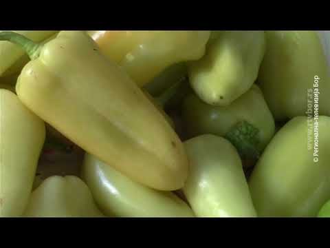 Suplementi, ili kiseo kupus, brokoli, limun... ?, 17.oktobar 2020. (RTV Bor)