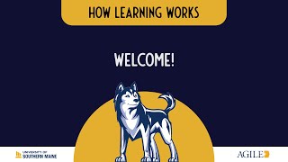 Welcome to How Learning Works