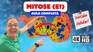 MITOSE: Fases, Divisão Celular e Eventos - AULA COMPLETA | Ciência Traduzida com Professor Hilton