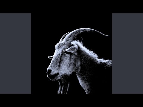 No Pueden Frena (feat. Blicky3, Ghost, Choko Outside & NYB)