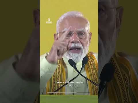 Pro-Modi leader burns cockroach effigy to taunt youth protesters